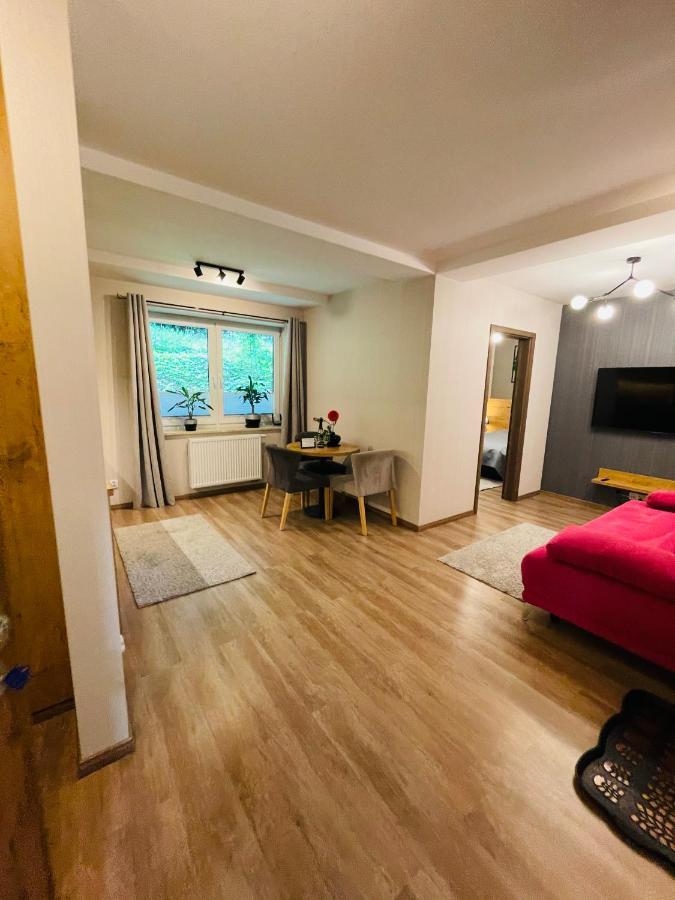 Apartament Gory I Potok Porąbka Exteriör bild